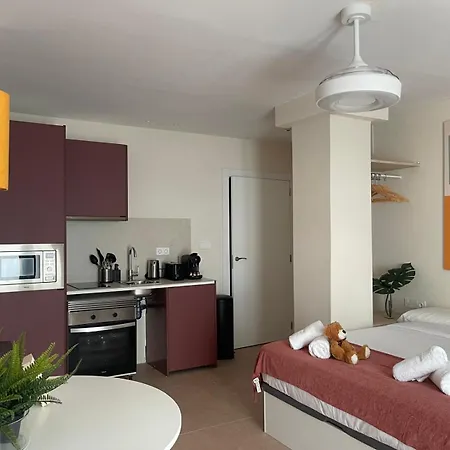 Osito Hub - Pintor Nicolau Apartament