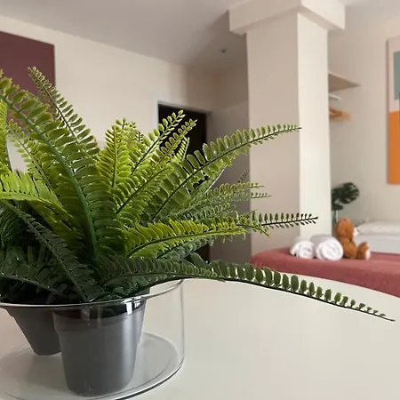 Osito Hub - Pintor Nicolau Apartamento Valencia